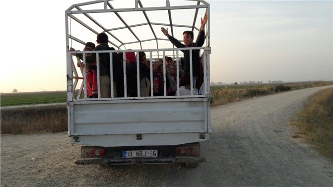 Tarlaya Değil Okula Gidiyorlar