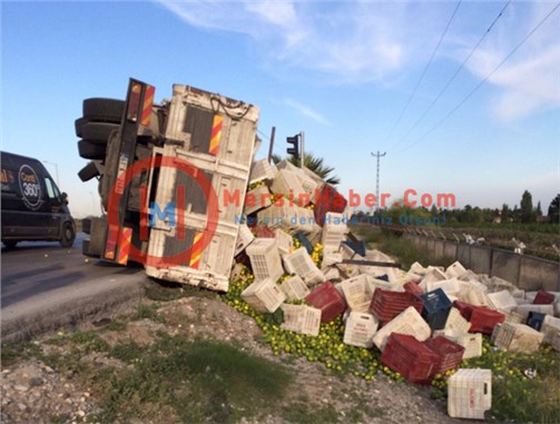 Mersin'de Narenciye Yüklü Kamyon Devrildi