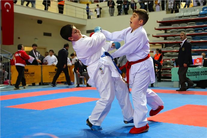 Minikler ve Yıldızlar Türkiye Karate Şampiyonası