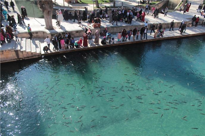 ''Suriye'deki savaş Şanlıurfa turizmini etkilemedi''