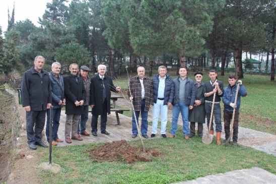 Şeyh Yunus Emre'nin Etrafı Ihlamurla Sarıldı