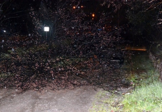 Sakarya'da Yoldan Çıkan Otomobil Takla Attı 5 Yaralı