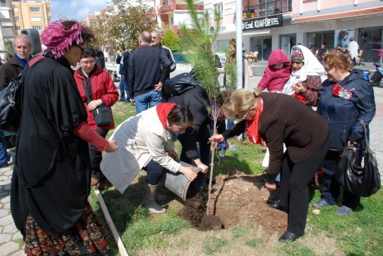 Uluslararası 2015 Dünya Kadınları Didim'deydi