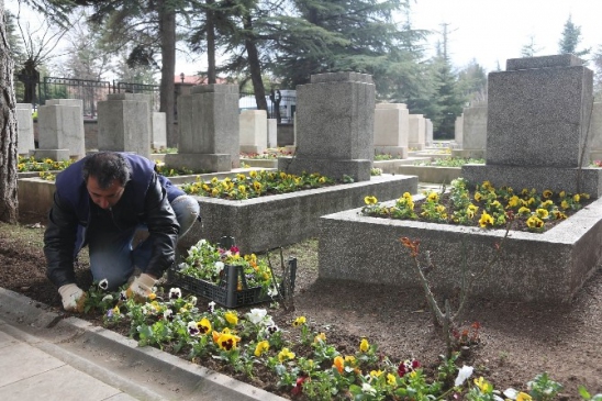 Büyükşehir Belediyesi Şehitlikleri Çiçeklerle Donatıyor