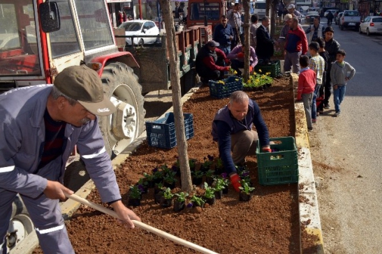 Akdeniz'de Mevsimlik Çiçek Dikimine Hız Verildi