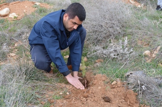 Semerkand Malatya Vakfı Fidan Dikti