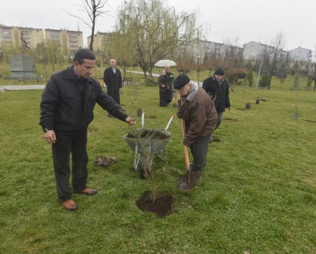 Yaşlılar Ağaç Dikme Şenliği'nde Buluştu