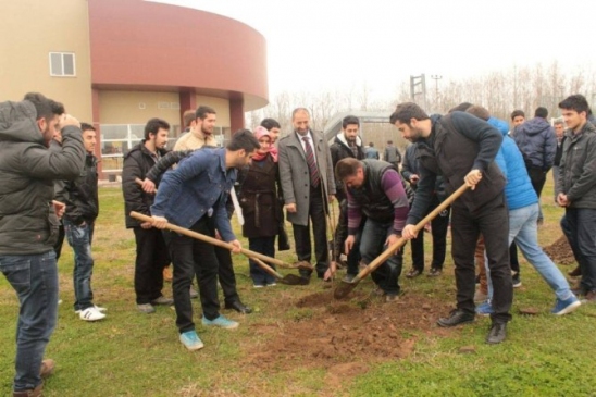 Terme Meslek Yüksekokulu Meyve Fidanı Dikim Etkinliği