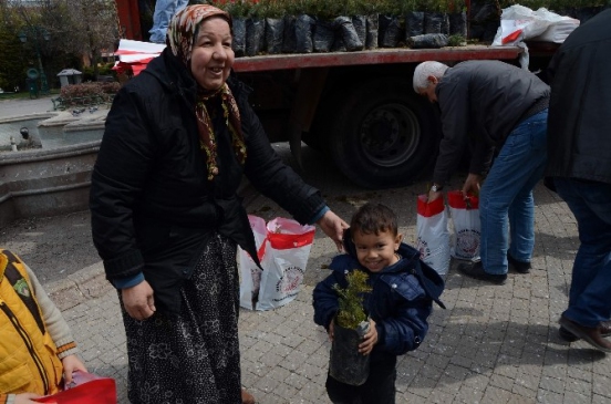 Orman Bölge Müdürlüğü Cami Önünde Vatandaşlara 4 Bin 800 Adet Sedir Fidan Dağıttı