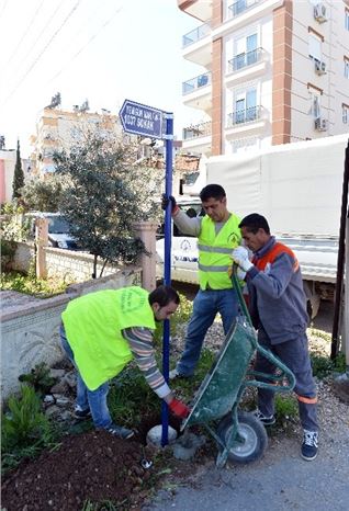 Muratpaşa Sokak Yön Levhalarını Tamamlıyor