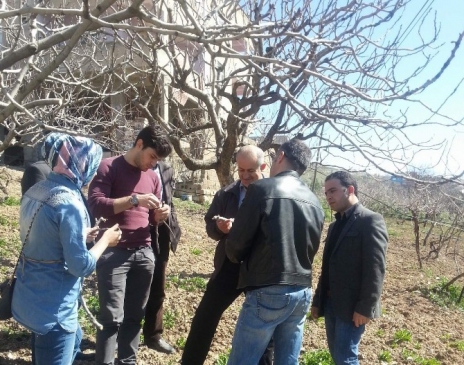 Siirt Fıstığı Hastalıkları İle İlgili İnceleme Yapıldı