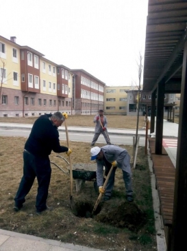 Erzincan Üniversitesinde Peyzaj Çalışmaları