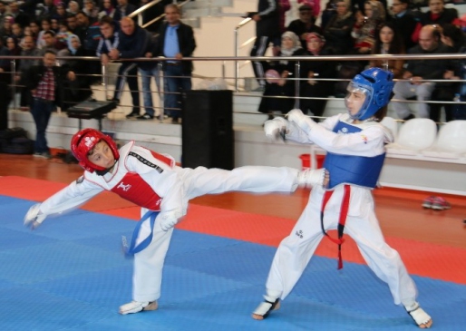 Saruhanlı'da Taekwondo Şöleni