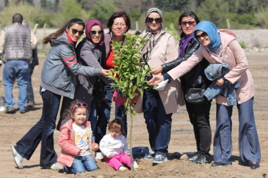 Karayolları Personeli Fidan Dikti