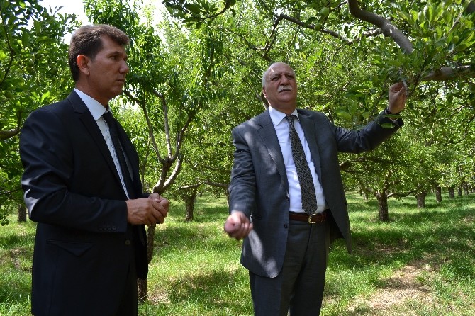 Niğde'de Soğuklar Teğet Geçti