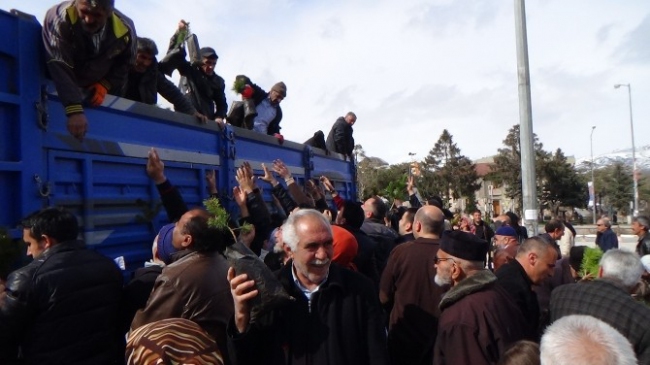 Erzincan'da Çam İzdihamı