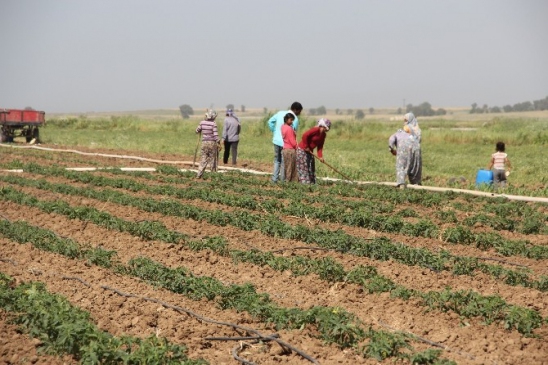 Mevsimlik İşçi Ücretleri Arttı