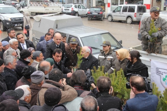 Orman Haftasında Bin Fidan Dağıtıldı