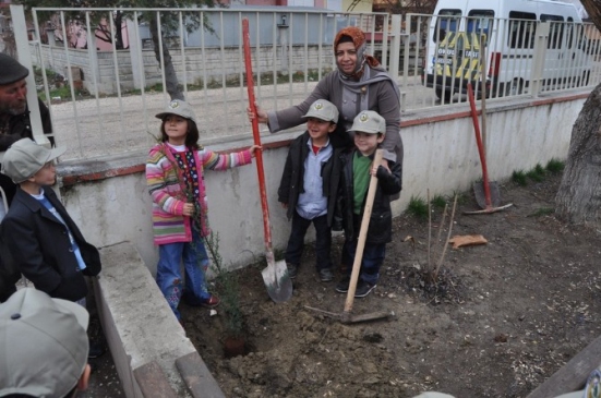 Önce Dinlediler Sonra Fidan Diktiler