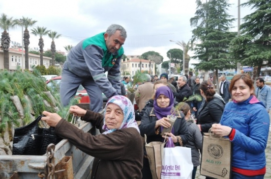 Ödemiş'te Çam Fıstığı Ve Kestane Fidanı Dağıtıldı