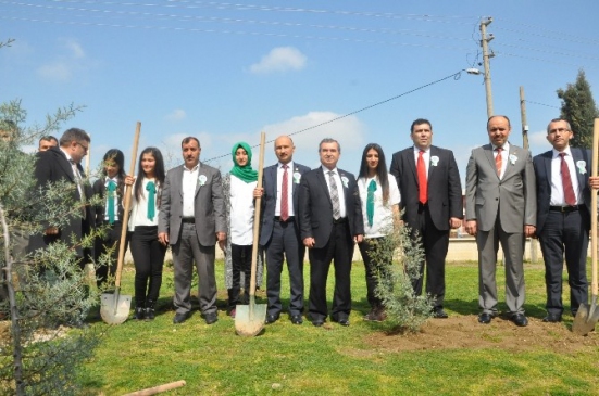 Öğrenciler Okulun Bahçesine 310 Fidan Dikti