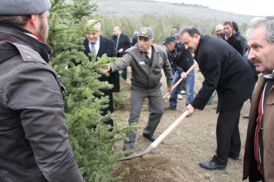 Orman Haftası Kutlamarında Fidan Dikimi Yapıldı