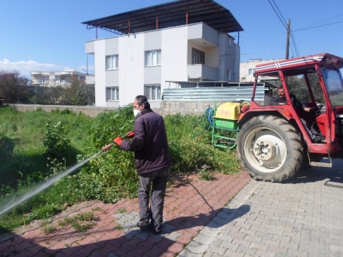 Ceyhan'da ''Ot'' Mücadelesi