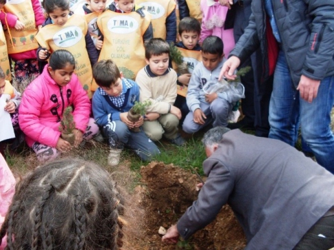 Ayvalık'ta Öğrenciler Ağaç Dikerek Orman Sevgisini Öğrendi