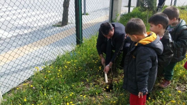 Yunusemre'de Minik Öğrenciler Gül Dikti