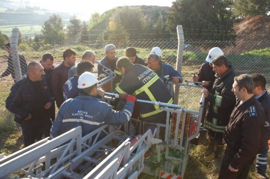 Yüksek Gerilim Hattı Direği Tepesinde Can Pazarı