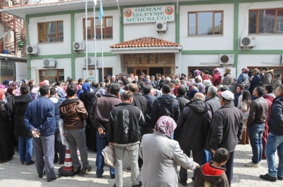 Çan Orman İşletme Müdürlüğünde 150 Geçici İşçi İçin Kura Çekildi