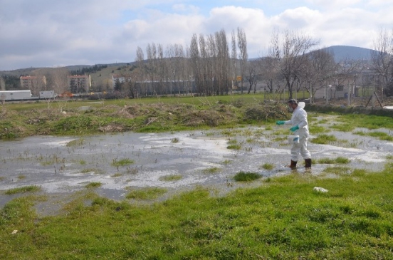 Bozüyük'te Larva Mücadelesi Su Birikintilerinde Devam Ediyor