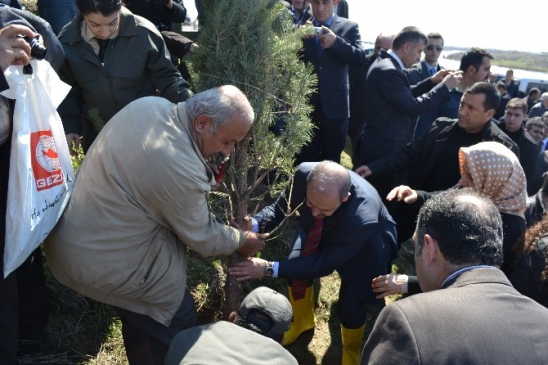 Muş'ta Bereket Ormanı Kuruldu