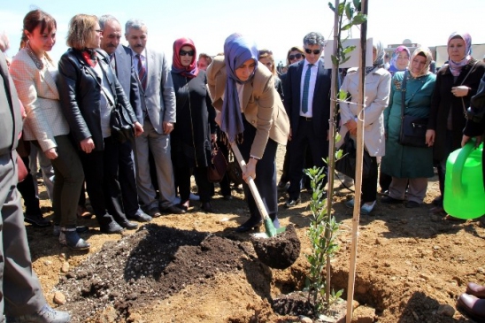 Hatay'da Bereket Ormanına 10 Bin Fidan