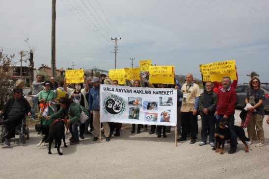 Urla'da Hayvan Katliamı Protesto Edildi