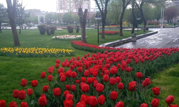 Kayseri Lalezar'a Döndü