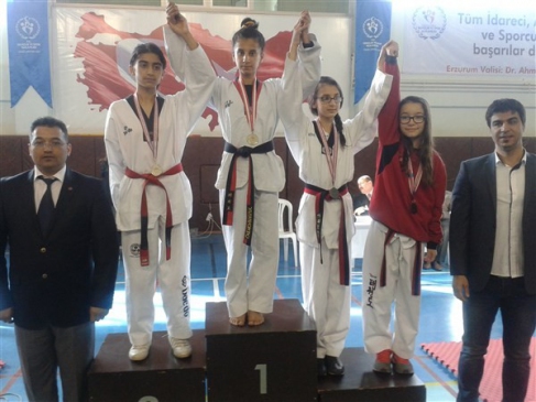 Taekwondo'da Araban Farkı