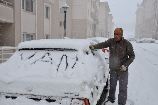 Kar Yağışı Meyve Ağaçlarını Vurdu