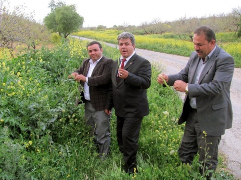 Araban Ovası'nda Kenger Keyfi