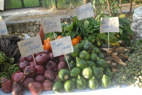 Fethiye Otları İçin Festival