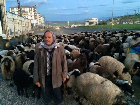 Göçerlerin Yolculuğu Başladı