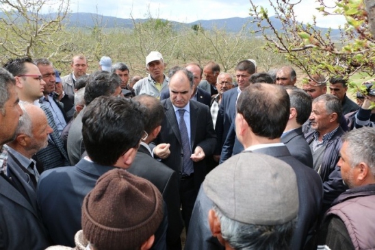 Don Vuran Meyve Bahçelerinde Hasar Tespiti Yapıldı