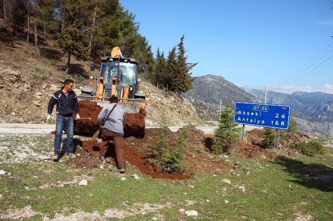 İbradı'da Ağaçlandırma Çalışmaları Başlatıldı