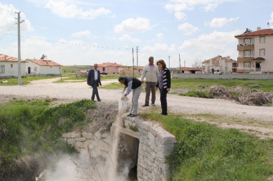 Cihanbeyli'de Larva İlaçlamalarına Başlandı