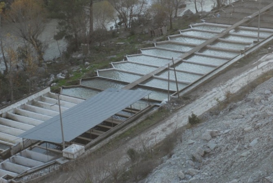 Ftso Alabalık Üreticilerinin Sorunlarına El Attı