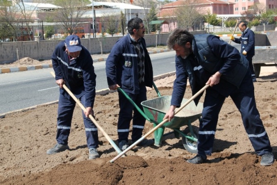 Üniversite Girişinde Yeşil Alan Düzenlemesi Sürüyor