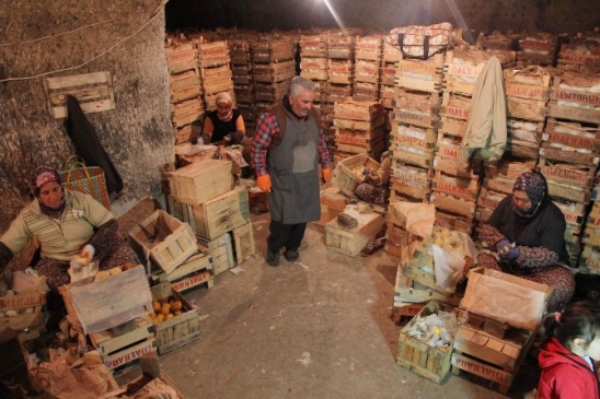 (Özel Haber) Akdeniz Limonları Kapadokya'da Saklanıyor