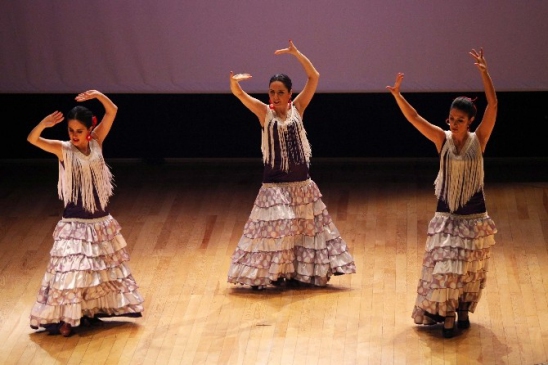 Dans Festivali'nde Renk Cümbüşü