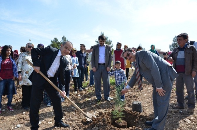 Üniversitesi Öğrencilerinden Fidan Dikme Etkinliği