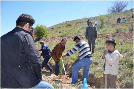 Malatya Devlet Hastanesi'nden Fidan Dikimi